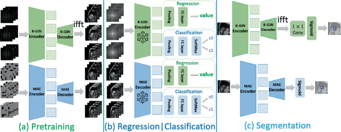 Cardiac MRI k-space representation learning