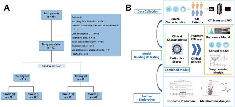 CT radiomics clinical model overview